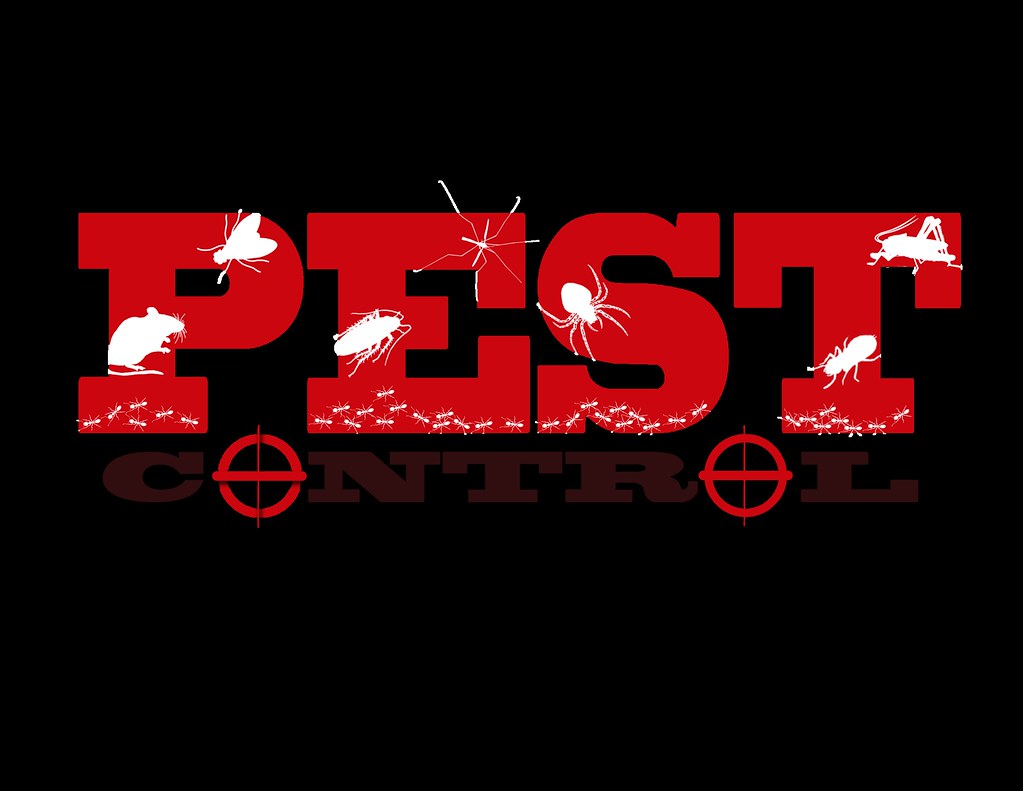 Top Reasons for Hiring Professional Pest Control Experts